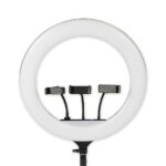 PK-460 Ring Light with Remote – 3 Phone Holders, Soft LED Light for Content Creation & Live Streaming