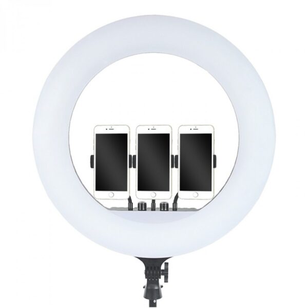 RL-21 LED Ring Light  and Remote Controller | Soft Lighting for Mobile and Camera