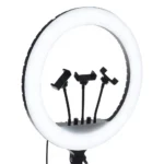 RL-21 LED Ring Light  and Remote Controller | Soft Lighting for Mobile and Camera