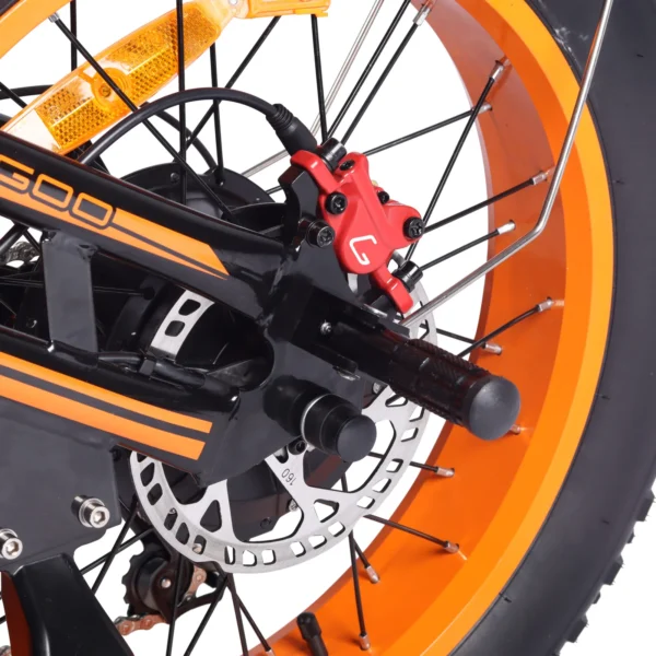 Kugoo V5 750W Electric Bike with Removable 48V 20Ah Battery